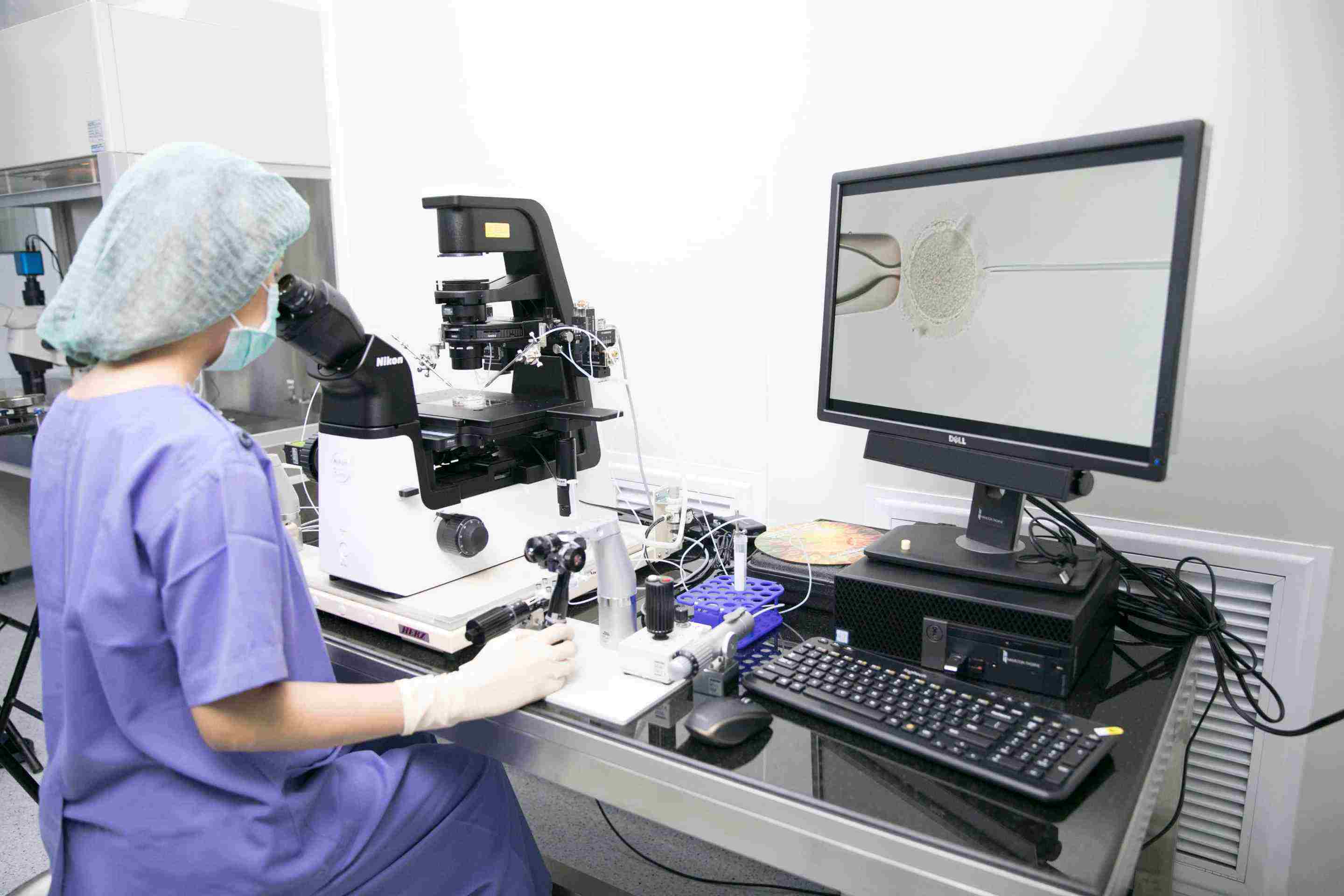 越南辅助生殖公司